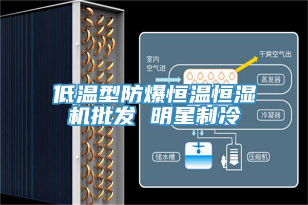 低温型防爆恒温恒湿机批发 明星制冷