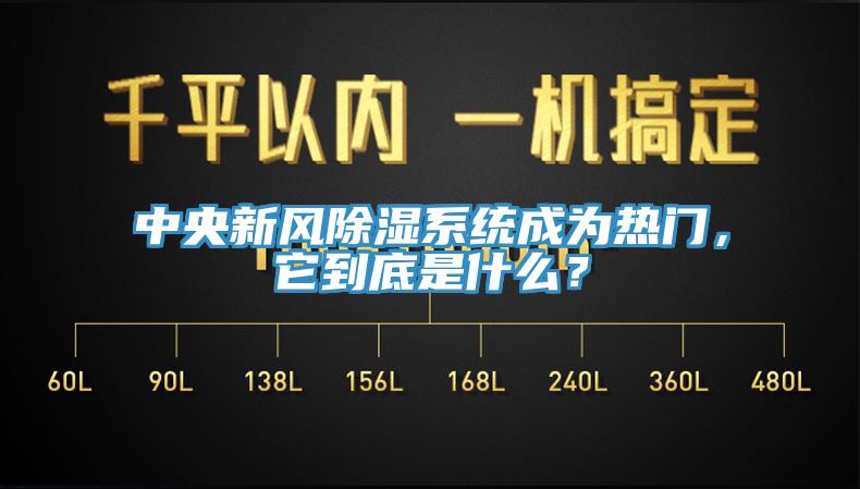 中央新风除湿系统成为热门，它到底是什么？