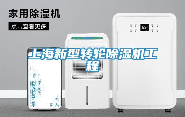 上海新型转轮91香蕉视频下载网站工程