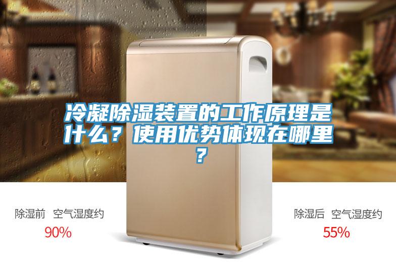 冷凝除湿装置的工作原理是什么？使用优势体现在哪里？