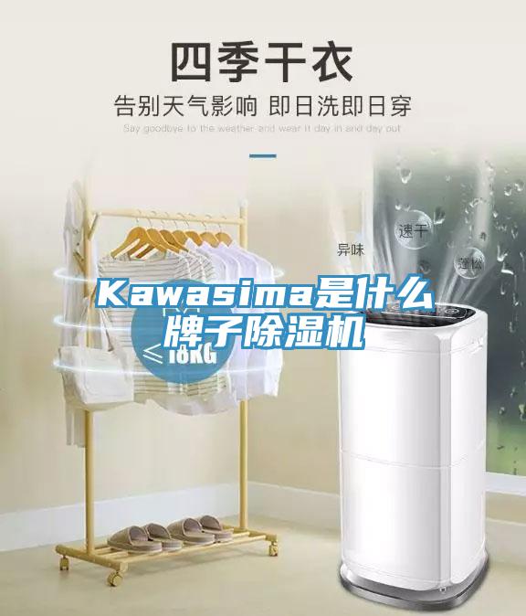 Kawasima是什么牌子91香蕉视频下载网站