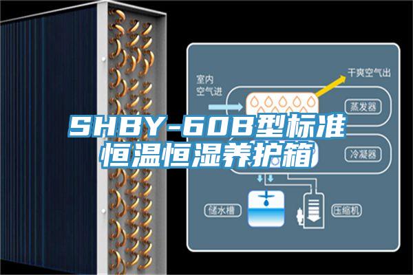 SHBY-60B型标准恒温恒湿养护箱