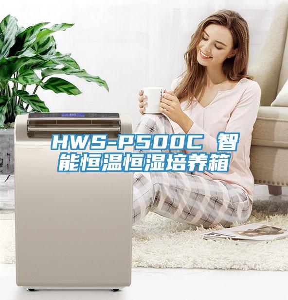 HWS-P500C 智能恒温恒湿培养箱