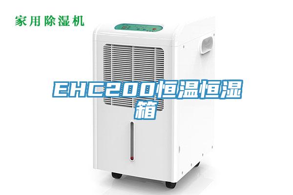 EHC200恒温恒湿箱