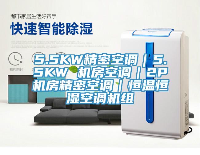 5.5KW精密空调｜5.5KW 机房空调｜2P机房精密空调｜恒温恒湿空调机组