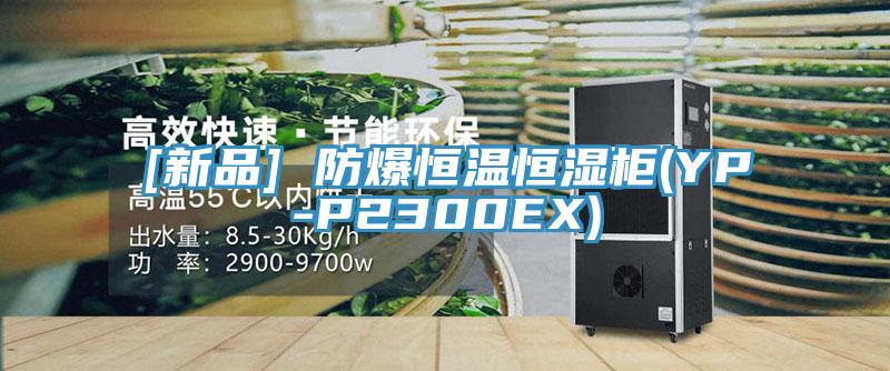 [新品] 防爆恒温恒湿柜(YP-P2300EX)