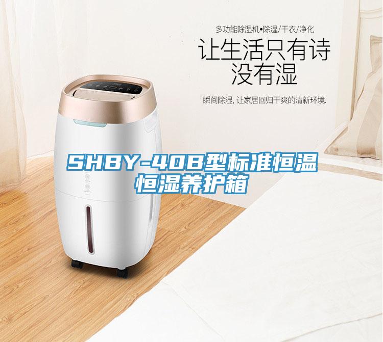 SHBY-40B型标准恒温恒湿养护箱