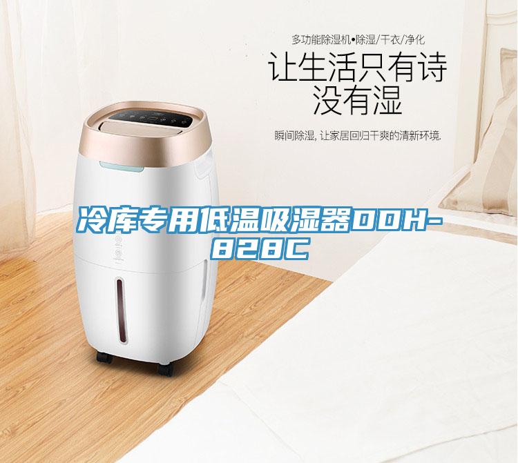 冷库专用低温吸湿器DDH-828C