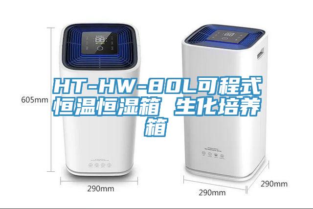 HT-HW-80L可程式恒温恒湿箱 生化培养箱