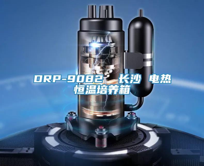 DRP-9082  长沙 电热恒温培养箱