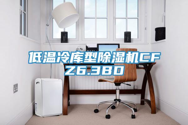 低温冷库型91香蕉视频下载网站CFZ6.3BD