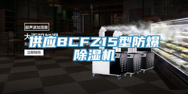 供应BCFZ15型防爆91香蕉视频下载网站