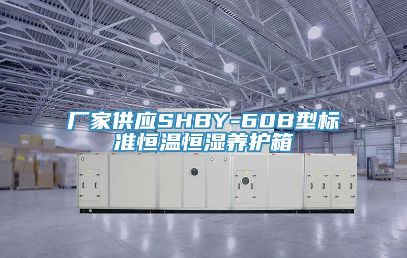 厂家供应SHBY-60B型标准恒温恒湿养护箱