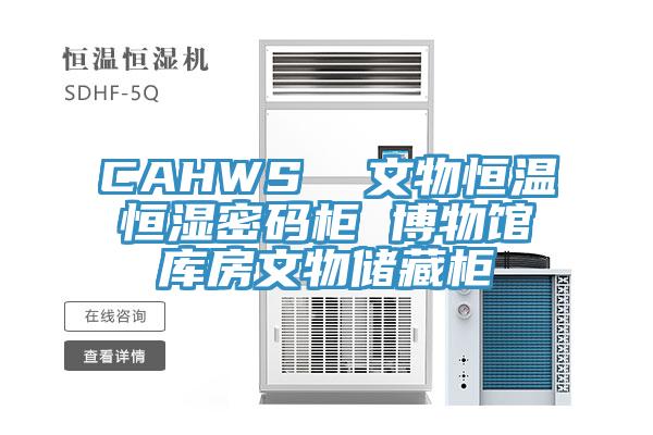 CAHWS  文物恒温恒湿密码柜 博物馆库房文物储藏柜