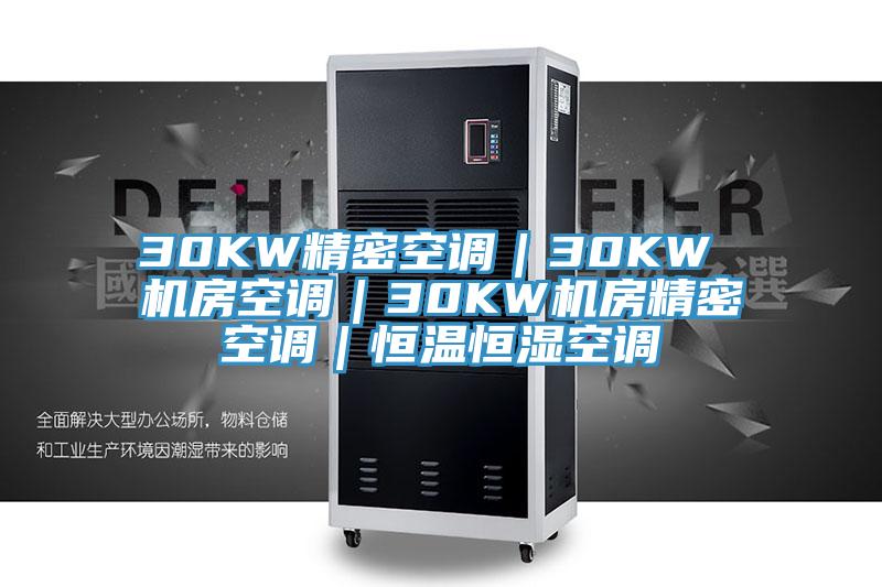 30KW精密空调｜30KW 机房空调｜30KW机房精密空调｜恒温恒湿空调