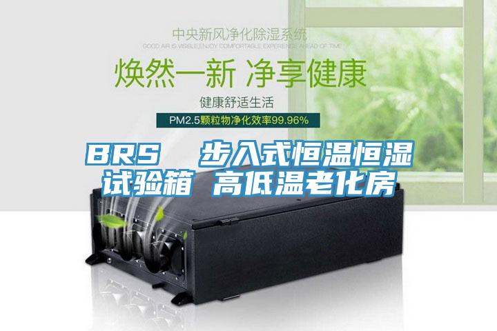 BRS  步入式恒温恒湿试验箱 高低温老化房