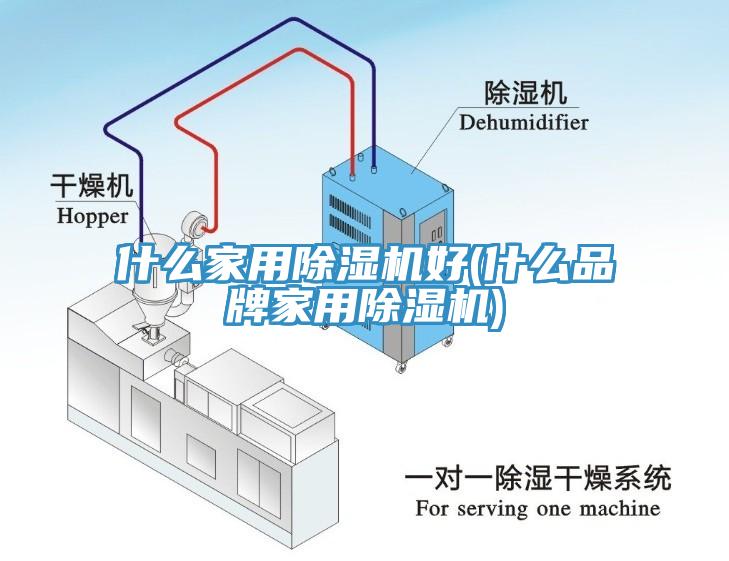 什么家用91香蕉视频下载网站好(什么品牌家用91香蕉视频下载网站)