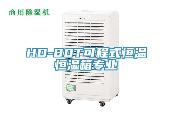 HD-80T可程式恒温恒湿箱专业