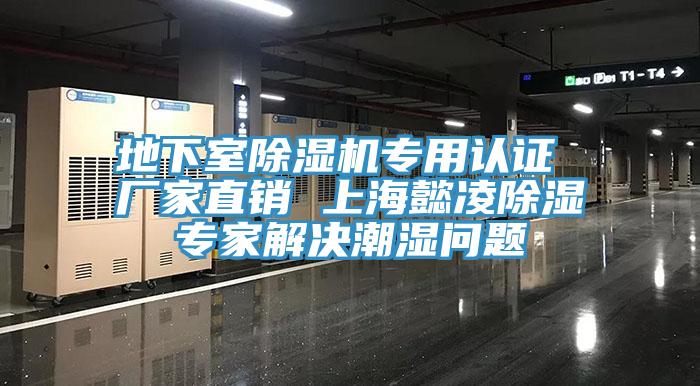 地下室91香蕉视频下载网站专用认证 厂家直销 上海懿凌除湿专家解决潮湿问题