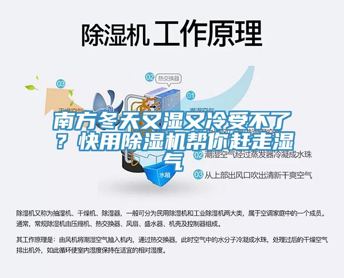 南方冬天又湿又冷受不了？快用91香蕉视频下载网站帮你赶走湿气