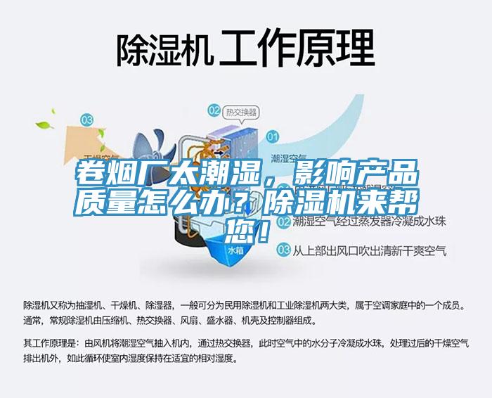 卷烟厂太潮湿，影响产品质量怎么办？91香蕉视频下载网站来帮您！