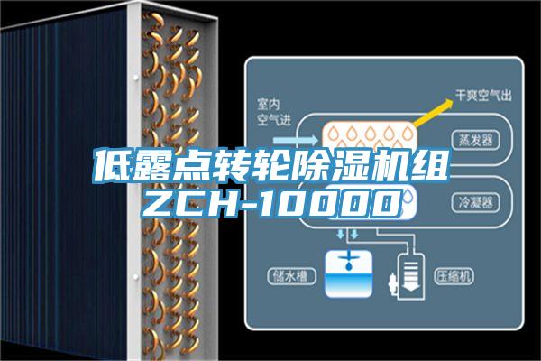 低露点转轮91香蕉视频下载网站组ZCH-10000