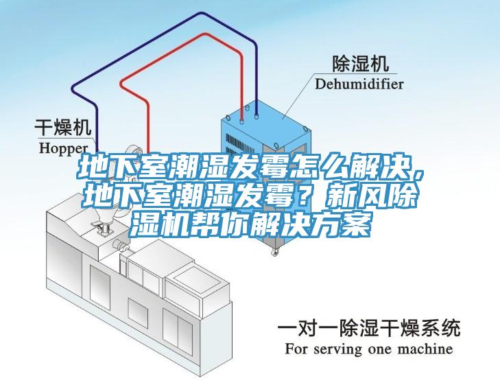 地下室潮湿发霉怎么解决，地下室潮湿发霉？新风91香蕉视频下载网站帮你解决方案