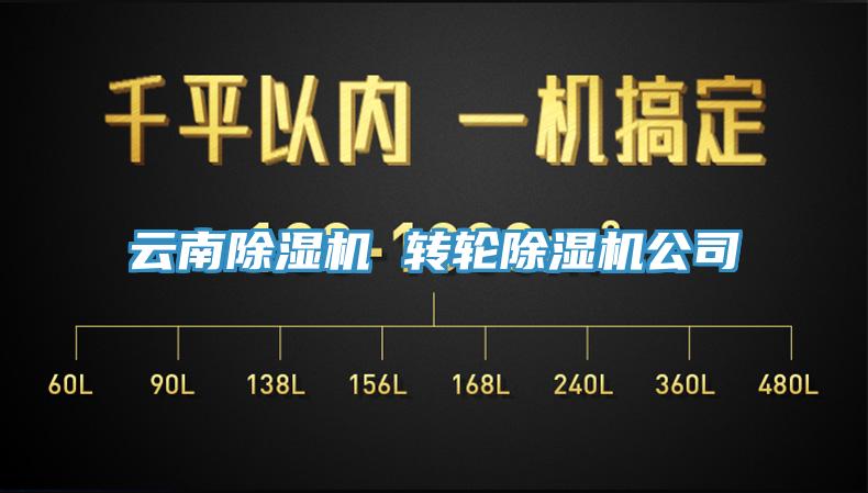 云南91香蕉视频下载网站 转轮91香蕉视频下载网站公司