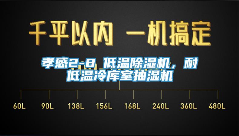 孝感2-8℃低温91香蕉视频下载网站，耐低温冷库室抽湿机