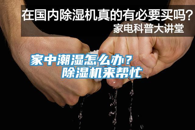 家中潮湿怎么办？    91香蕉视频下载网站来帮忙