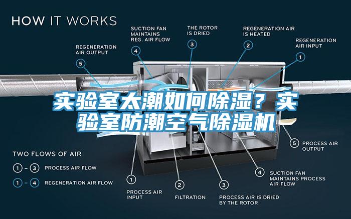 实验室太潮如何除湿？实验室防潮空气91香蕉视频下载网站