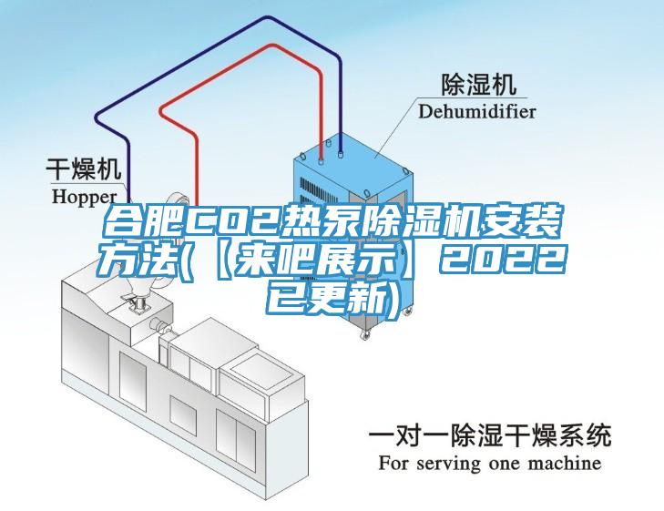 合肥CO2热泵91香蕉视频下载网站安装方法(【来吧展示】2022已更新)