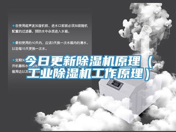 今日更新91香蕉视频下载网站原理（工业91香蕉视频下载网站工作原理）