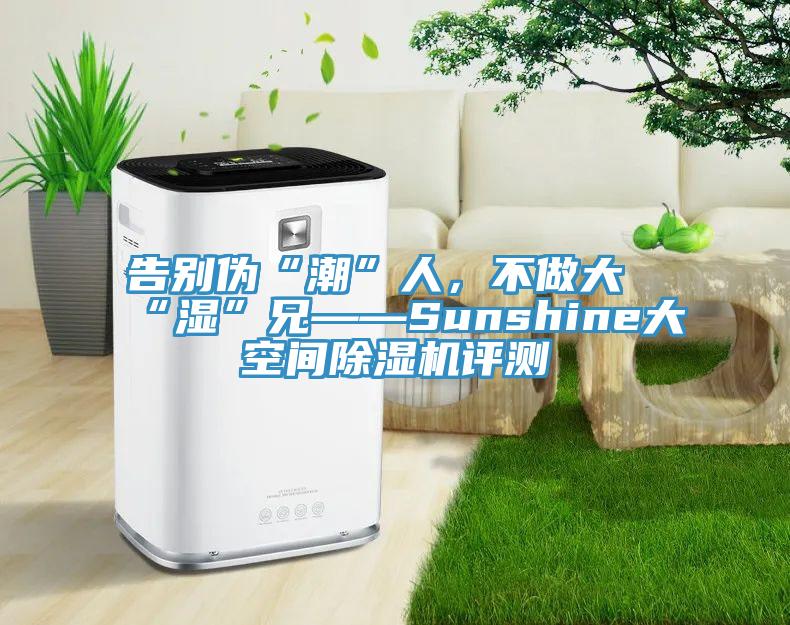 告别伪“潮”人，不做大“湿”兄——Sunshine大空间91香蕉视频下载网站评测