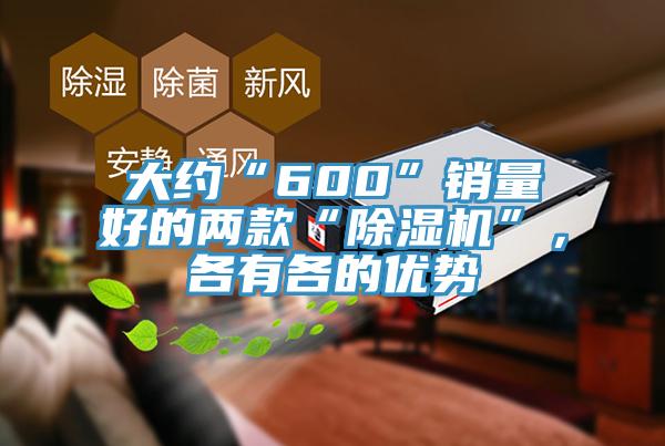 大约“600”销量好的两款“91香蕉视频下载网站”，各有各的优势