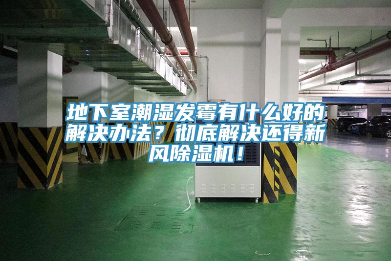 地下室潮湿发霉有什么好的解决办法？彻底解决还得新风91香蕉视频下载网站！