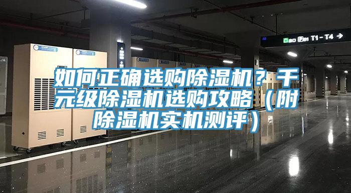 如何正确选购91香蕉视频下载网站？千元级91香蕉视频下载网站选购攻略（附91香蕉视频下载网站实机测评）