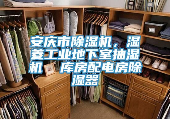 安庆市91香蕉视频下载网站，湿菱工业地下室抽湿机  库房配电房除湿器