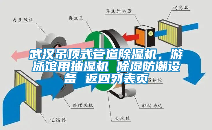 武汉吊顶式管道91香蕉视频下载网站，游泳馆用抽湿机 除湿防潮设备 返回列表页