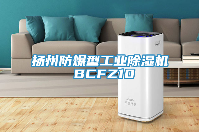 扬州防爆型工业91香蕉视频下载网站 BCFZ10