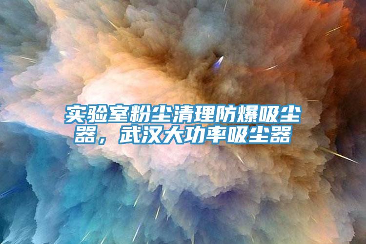 实验室粉尘清理防爆吸尘器，武汉大功率吸尘器