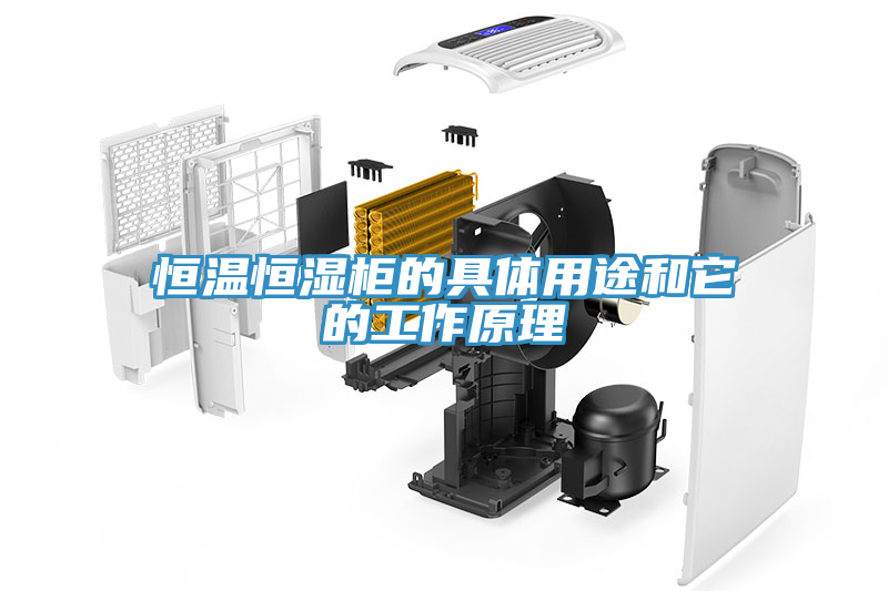 恒温恒湿柜的具体用途和它的工作原理