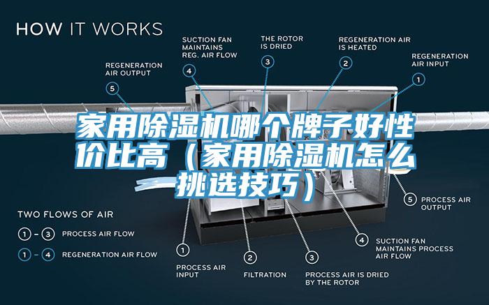 家用91香蕉视频下载网站哪个牌子好性价比高（家用91香蕉视频下载网站怎么挑选技巧）