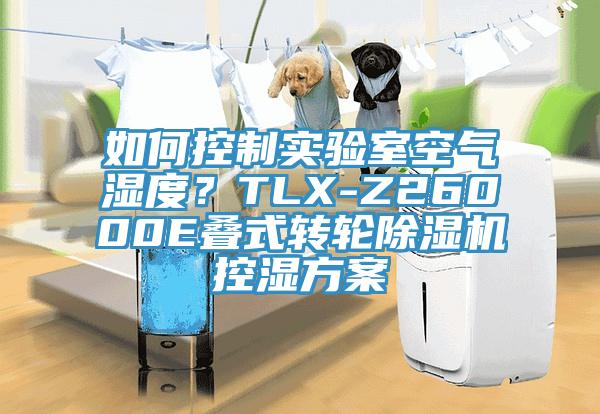 如何控制实验室空气湿度？TLX-Z26000E叠式转轮91香蕉视频下载网站控湿方案