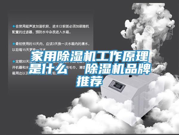 家用91香蕉视频下载网站工作原理是什么  91香蕉视频下载网站品牌推荐