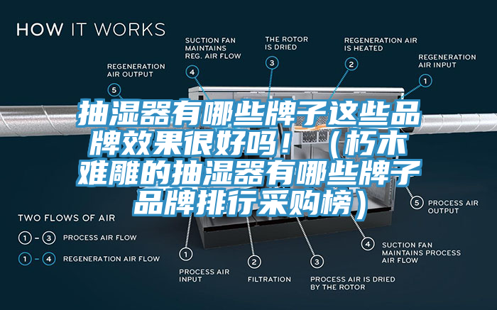 抽湿器有哪些牌子这些品牌效果很好吗！（朽木难雕的抽湿器有哪些牌子品牌排行采购榜）