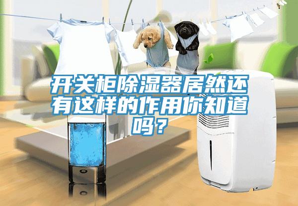 开关柜除湿器居然还有这样的作用你知道吗？