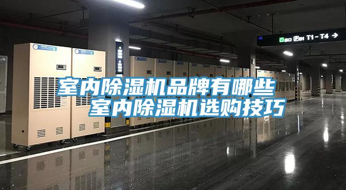 室内91香蕉视频下载网站品牌有哪些   室内91香蕉视频下载网站选购技巧