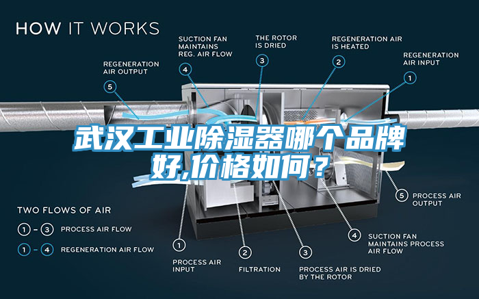 武汉工业除湿器哪个品牌好,价格如何？