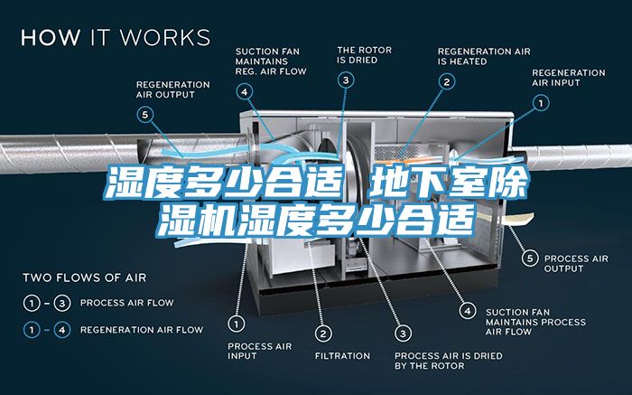 湿度多少合适 地下室91香蕉视频下载网站湿度多少合适